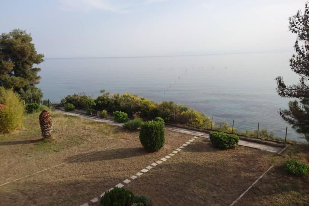 Sunshine House Offering Spectacular Views To Olymp A Daire Nea Iraklia Dış mekan fotoğraf