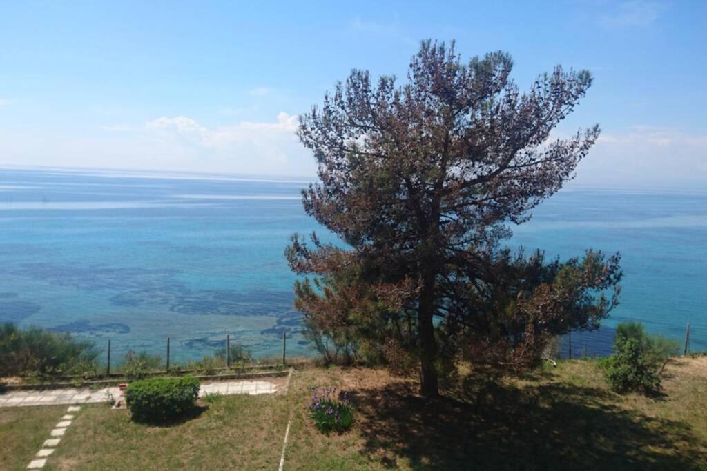 Sunshine House Offering Spectacular Views To Olymp A Daire Nea Iraklia Dış mekan fotoğraf