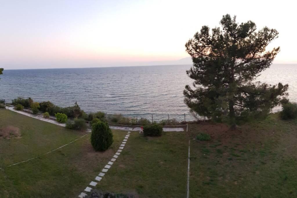 Sunshine House Offering Spectacular Views To Olymp A Daire Nea Iraklia Dış mekan fotoğraf
