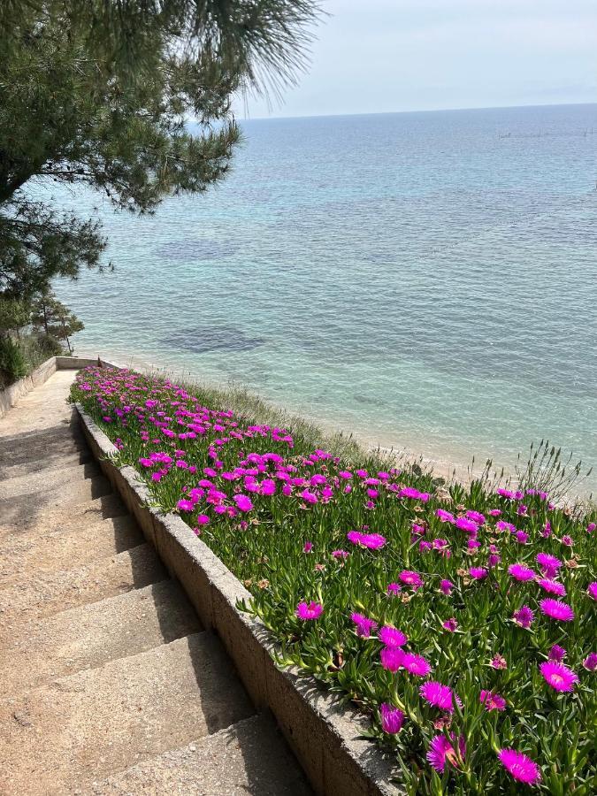 Sunshine House Offering Spectacular Views To Olymp A Daire Nea Iraklia Dış mekan fotoğraf
