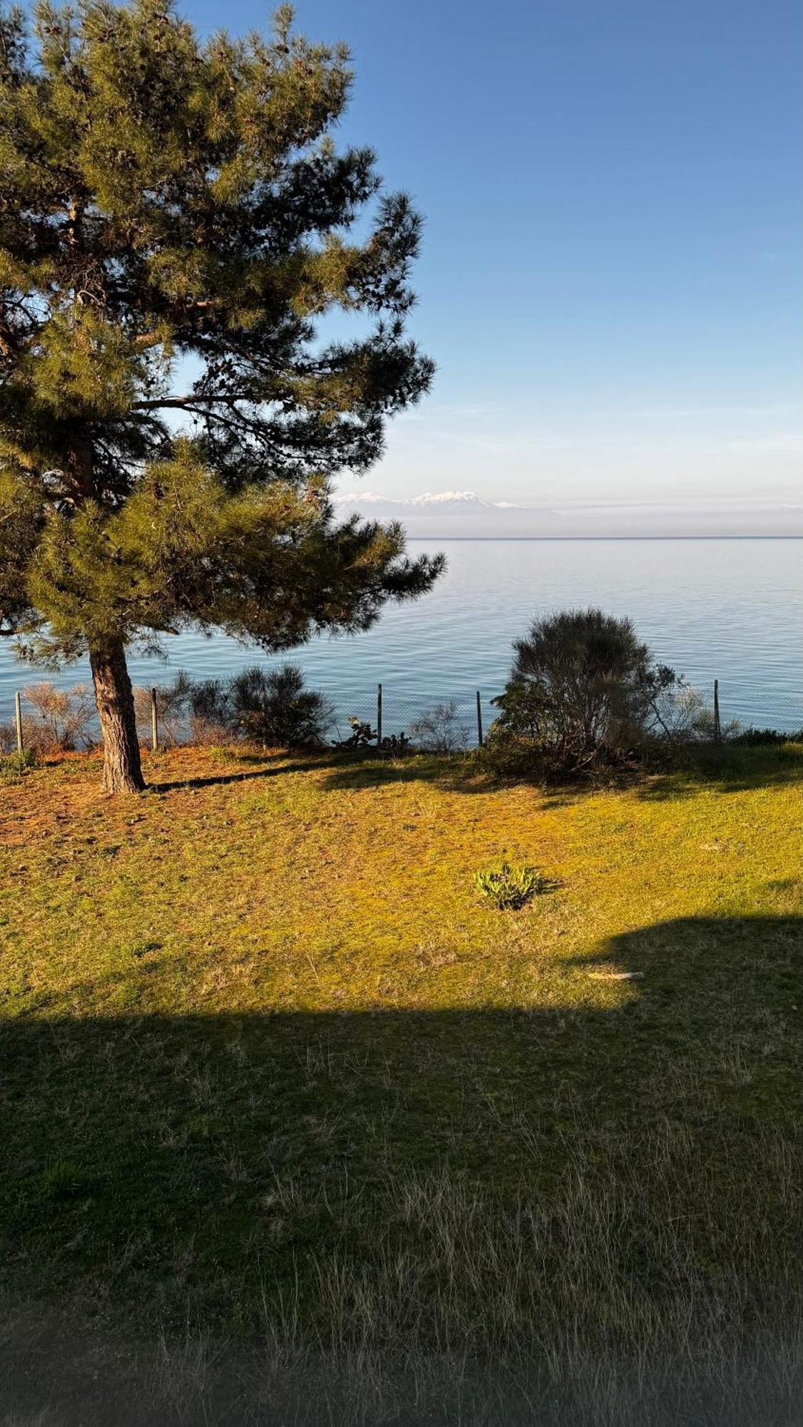 Sunshine House Offering Spectacular Views To Olymp A Daire Nea Iraklia Dış mekan fotoğraf
