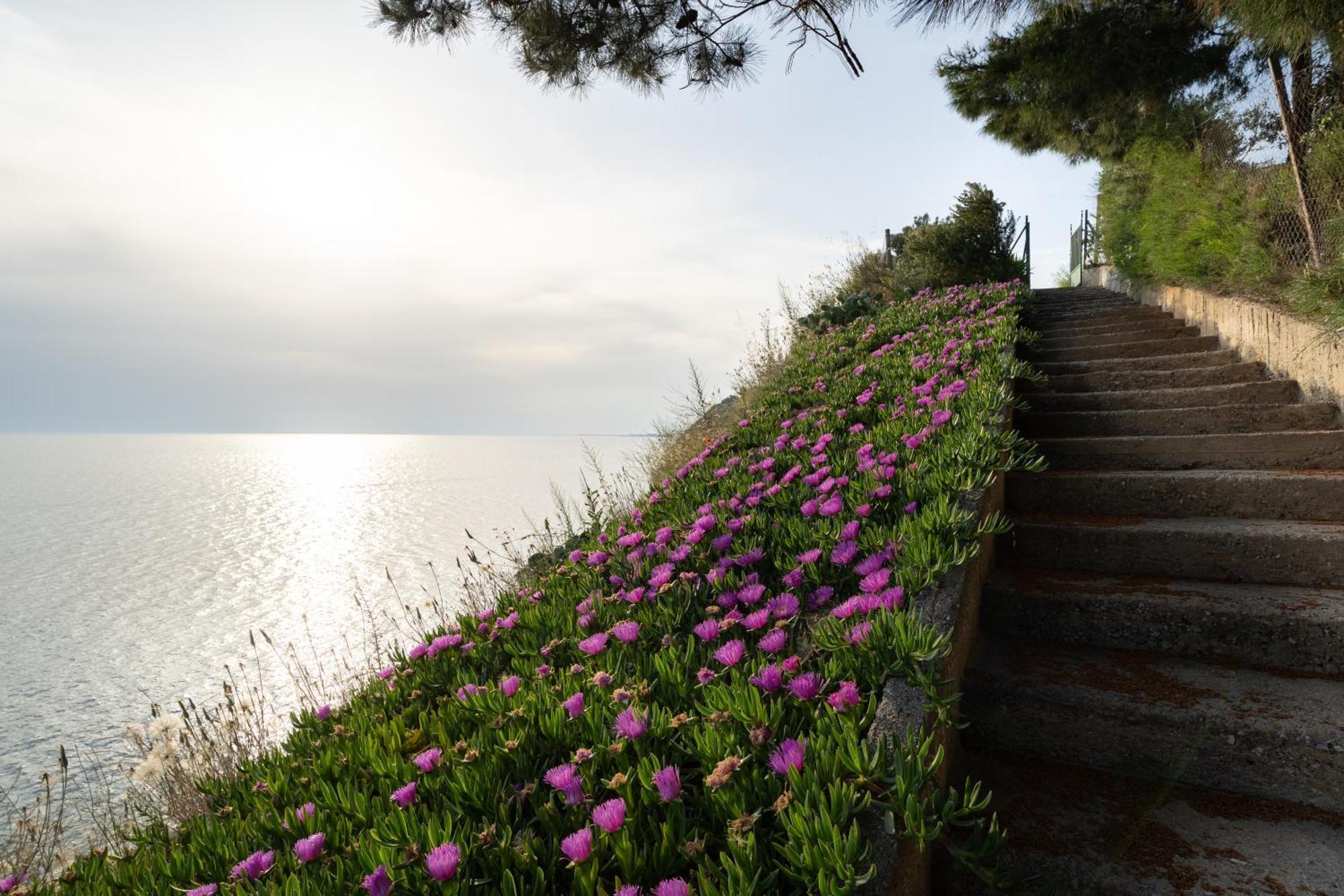 Sunshine House Offering Spectacular Views To Olymp A Daire Nea Iraklia Dış mekan fotoğraf